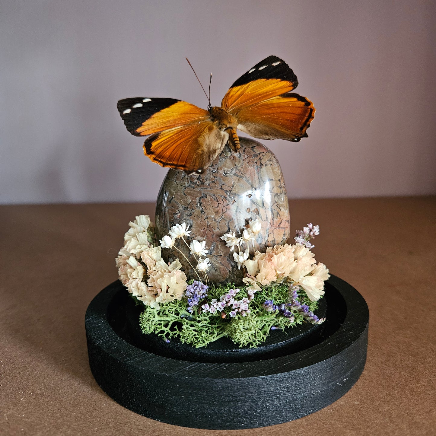 Vlinderstolp: Smyrna blomfildia met edelsteen