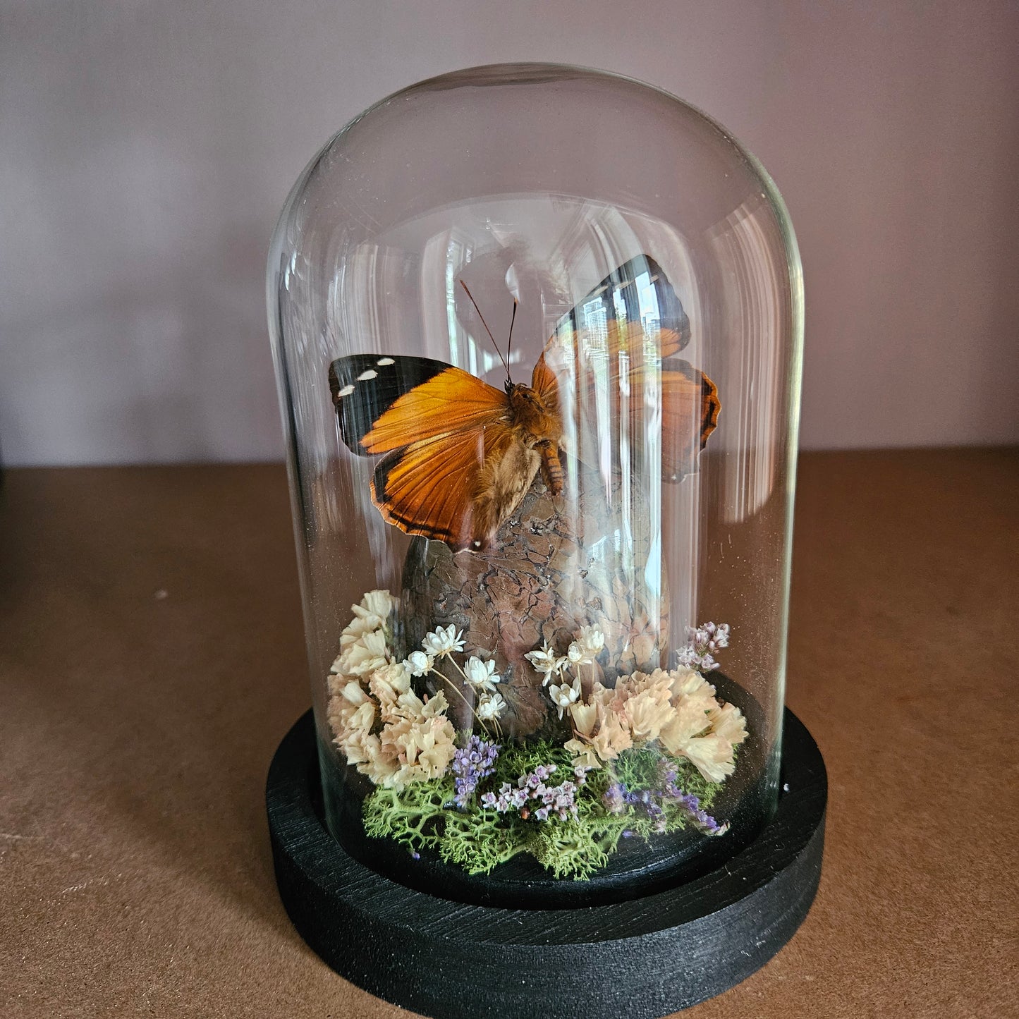 Vlinderstolp: Smyrna blomfildia met edelsteen