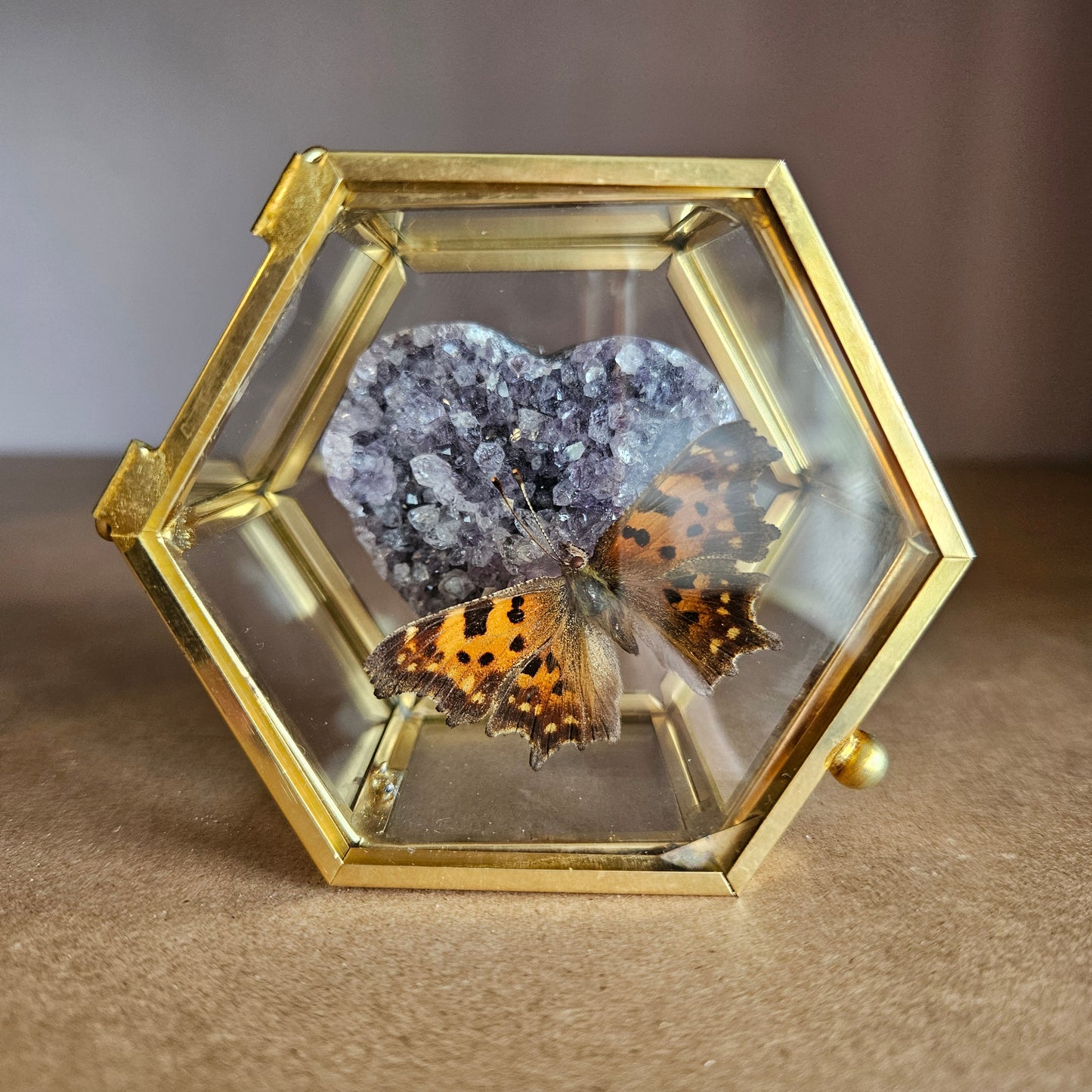 Vlinderstolp: Amethist hartje met vlinder