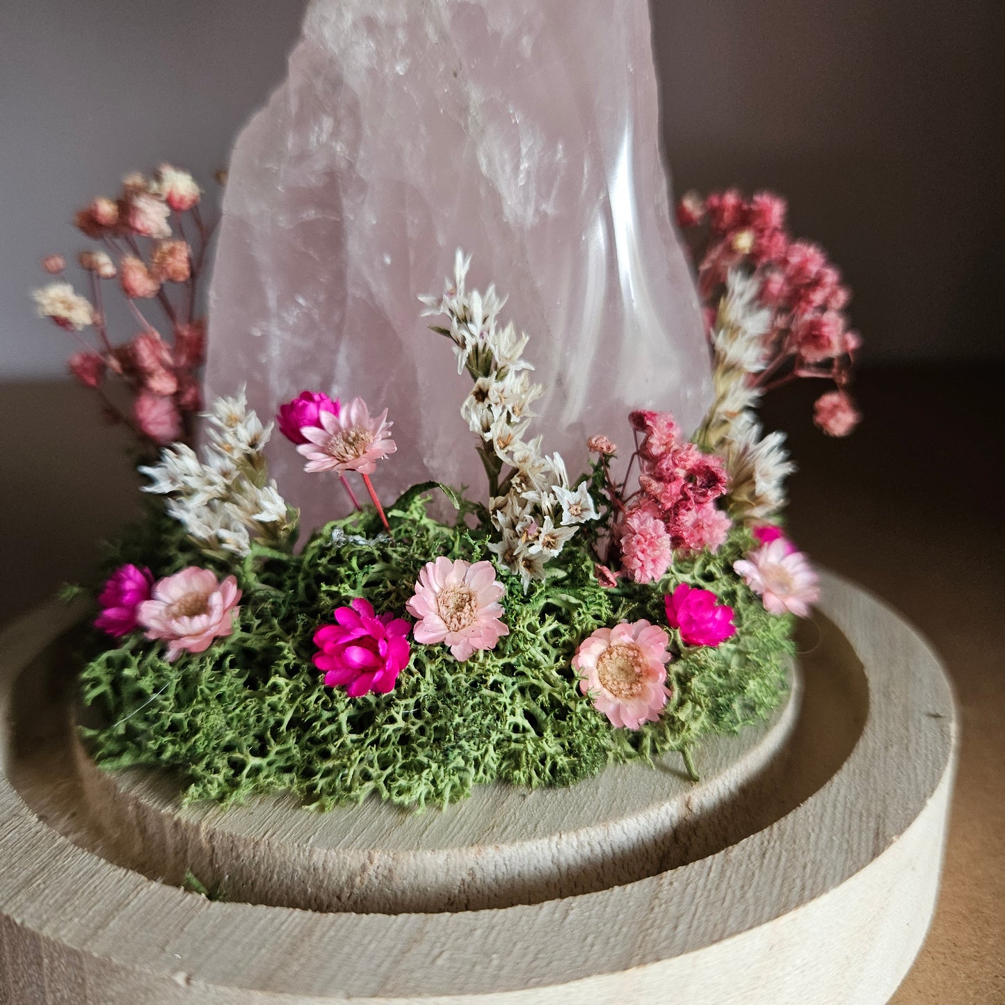 Vlinderstolp: Rozenkwarts met Catopsilia Florella