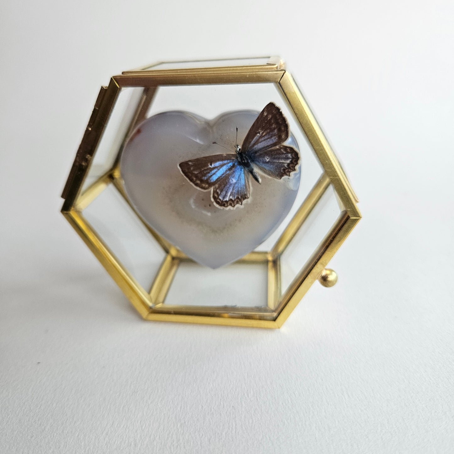 Vlinderstolp: Agaat hartje met vlinder