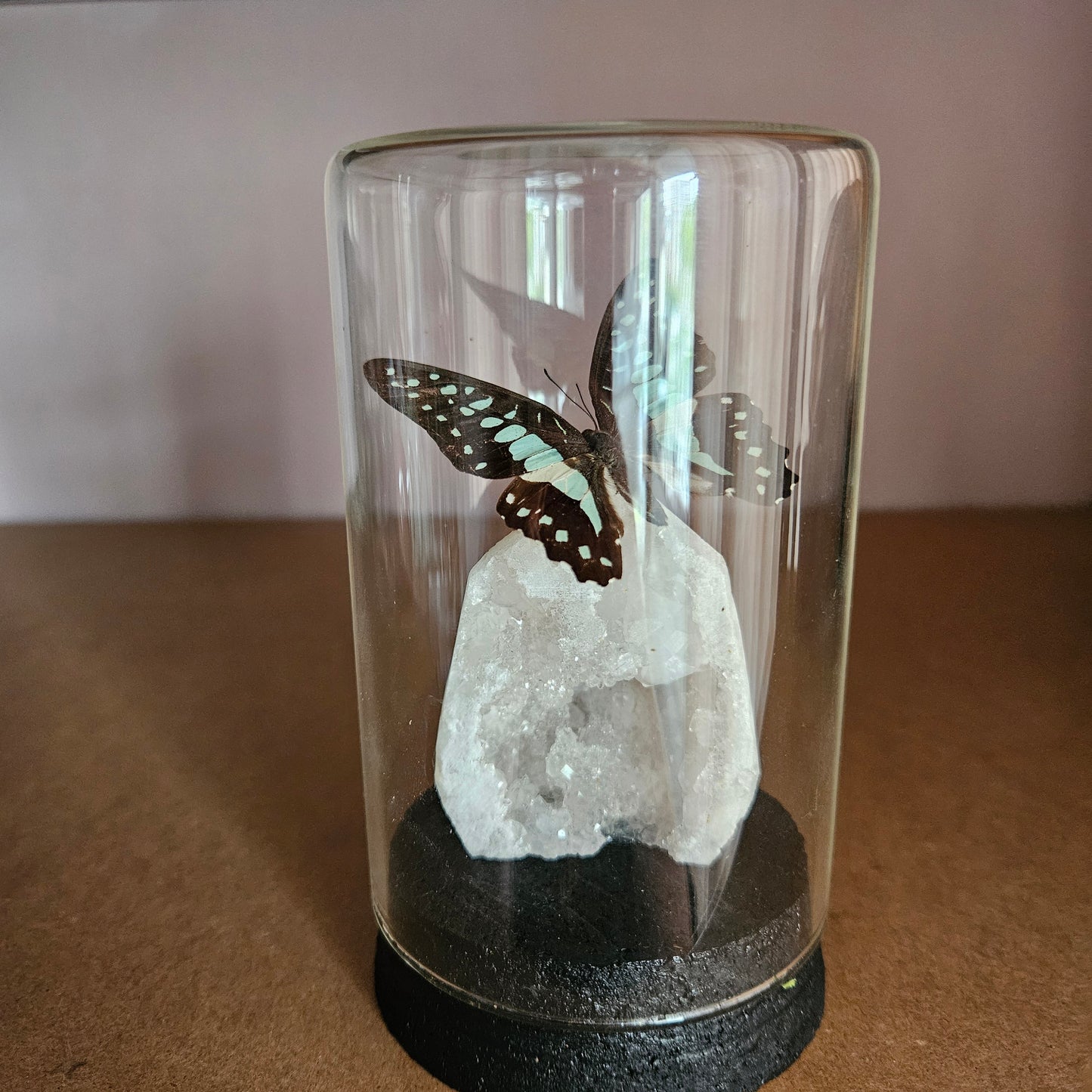 Vlinderstolp: Bergkristal geode met Graphium sarpedon