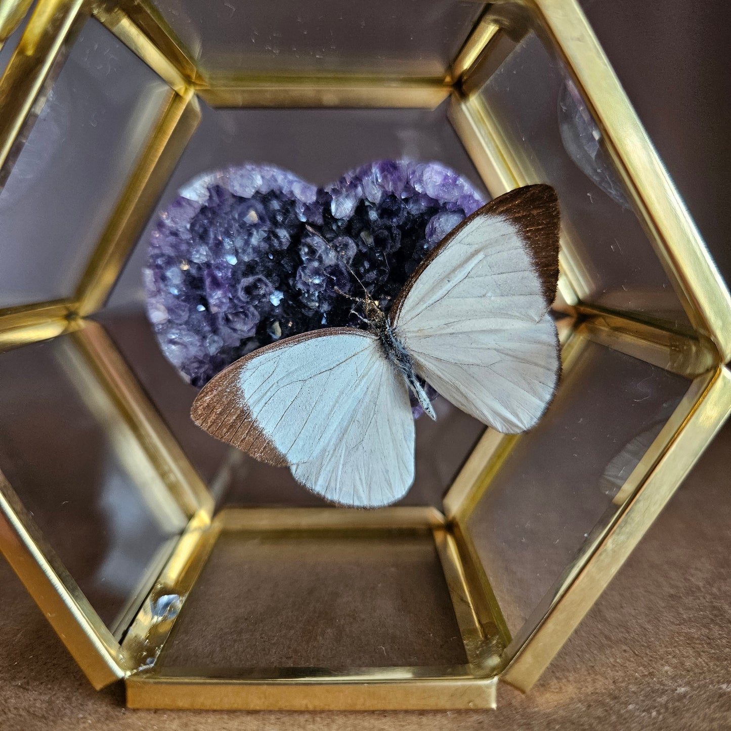Vlinderstolp: Amethist hartje met vlinder 2
