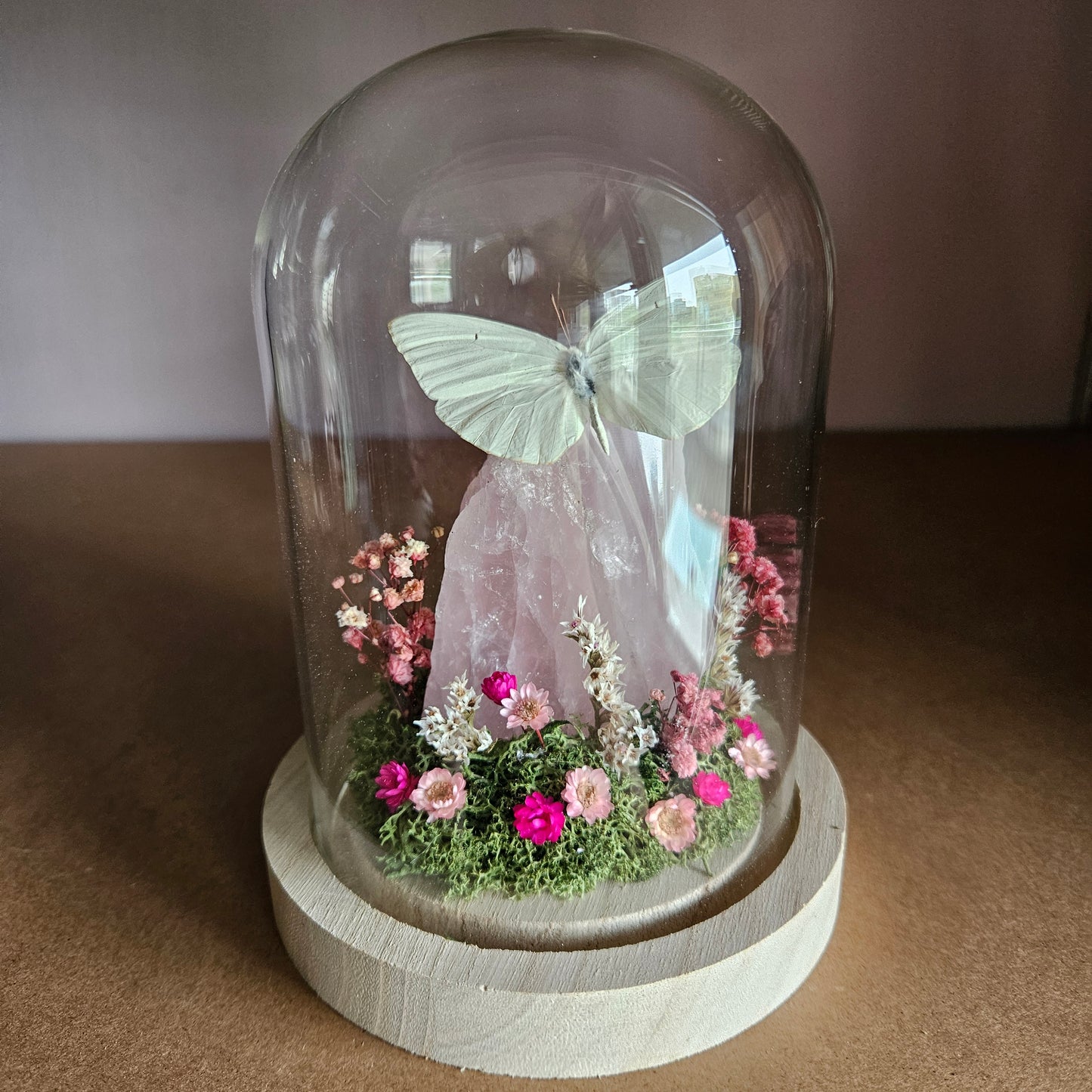 Vlinderstolp: Rozenkwarts met Catopsilia Florella