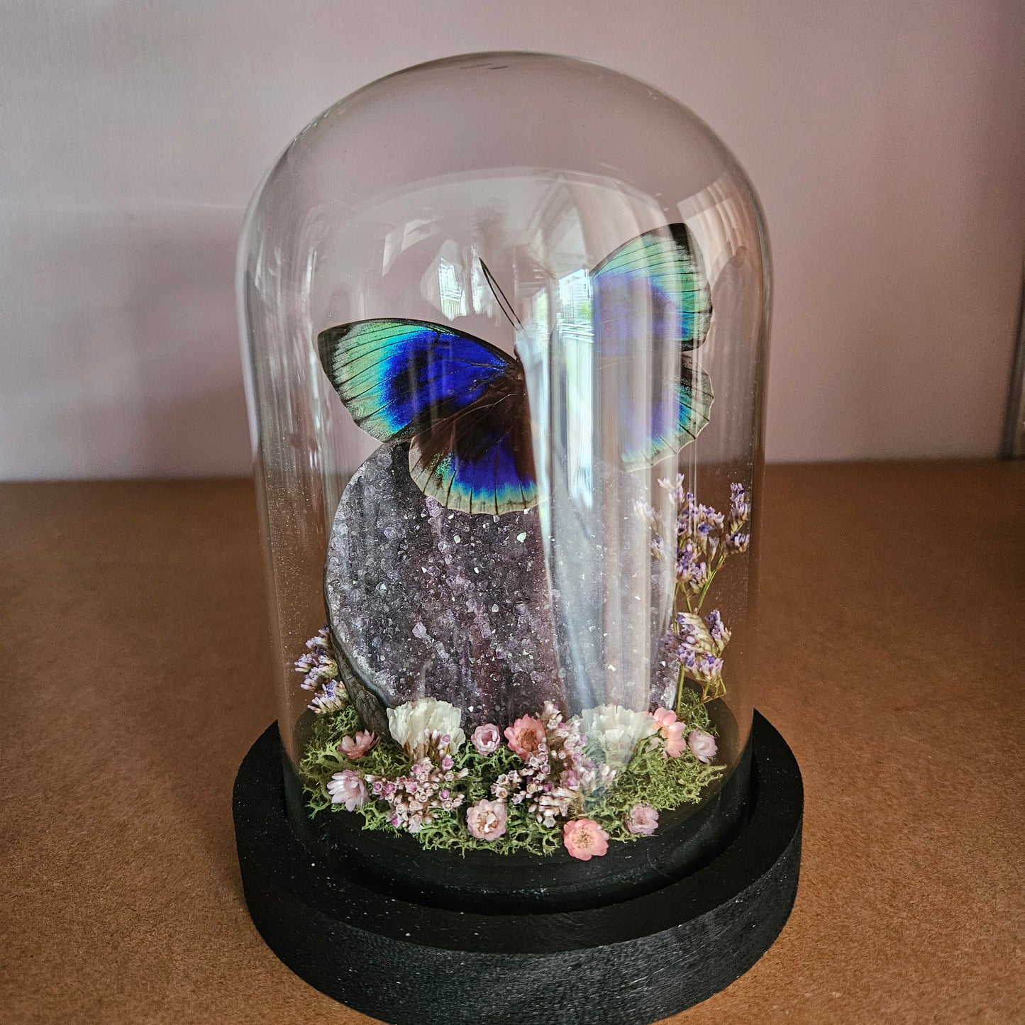 Vlinderstolp: Amethist met Agrias Beata Beatifica