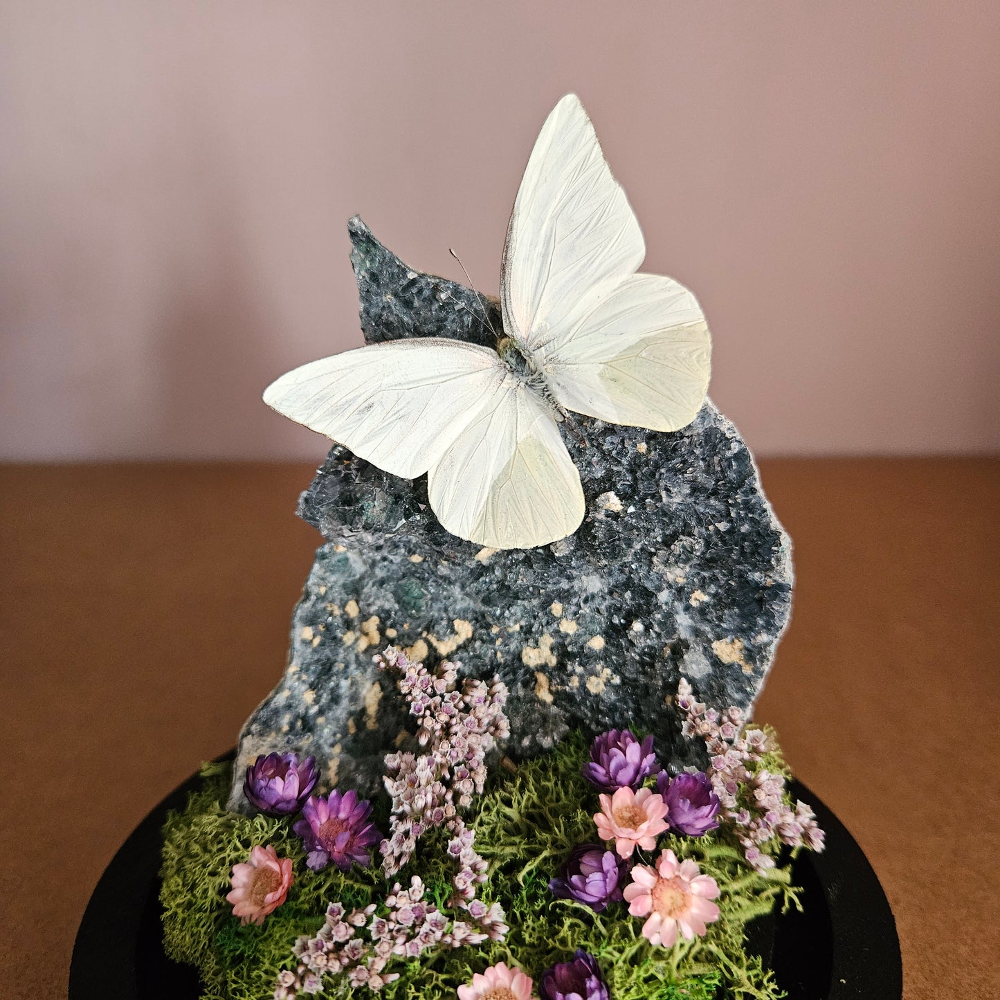 Vlinderstolp: Flower amethist met Appias drusilla