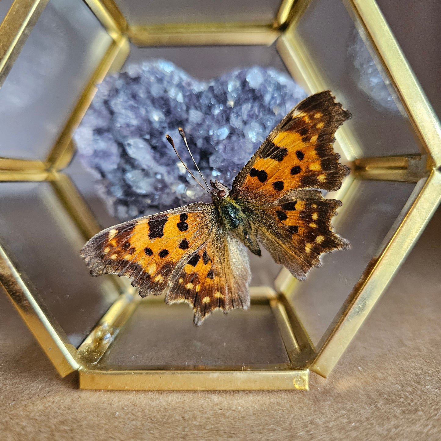 Vlinderstolp: Amethist hartje met vlinder
