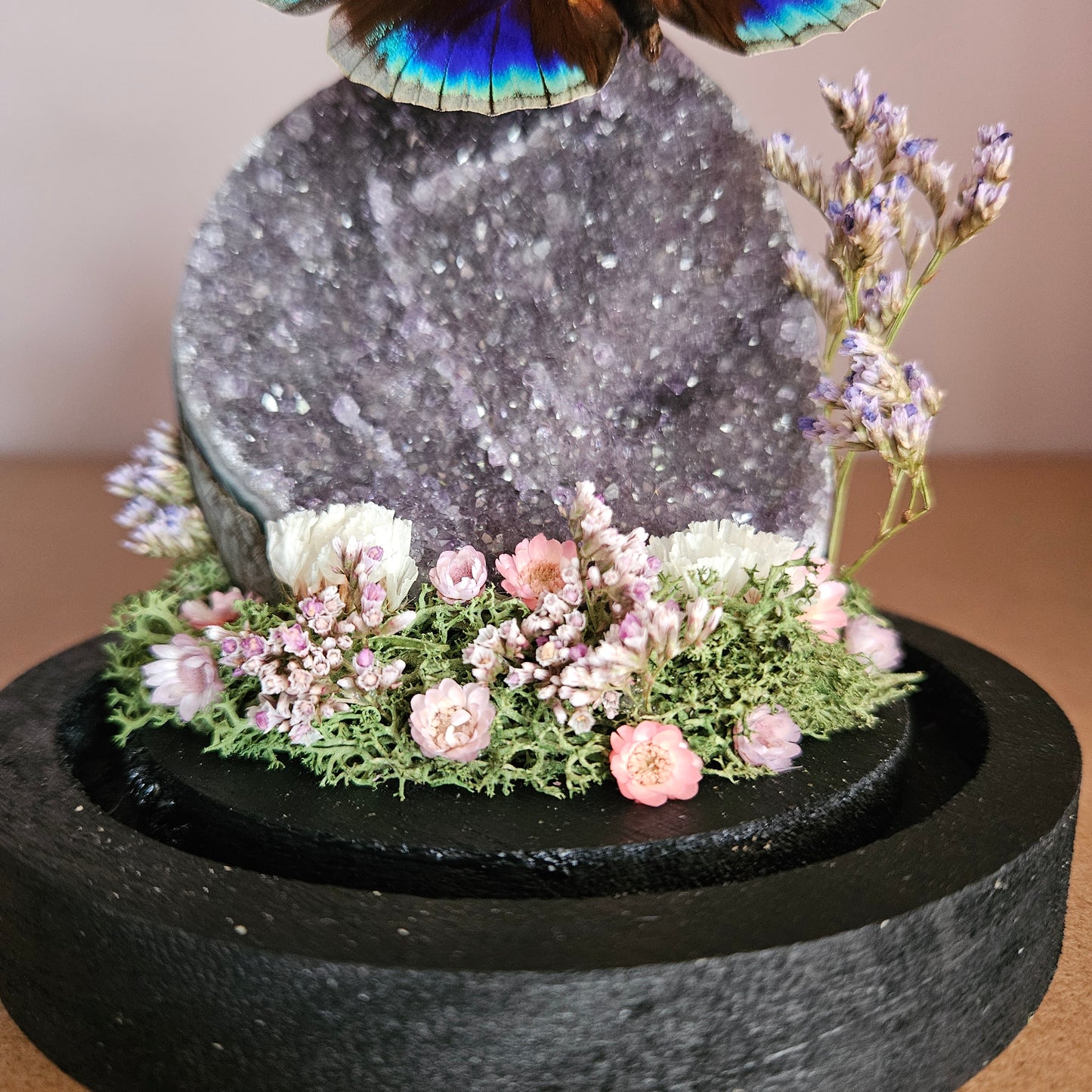 Vlinderstolp: Amethist met Agrias Beata Beatifica