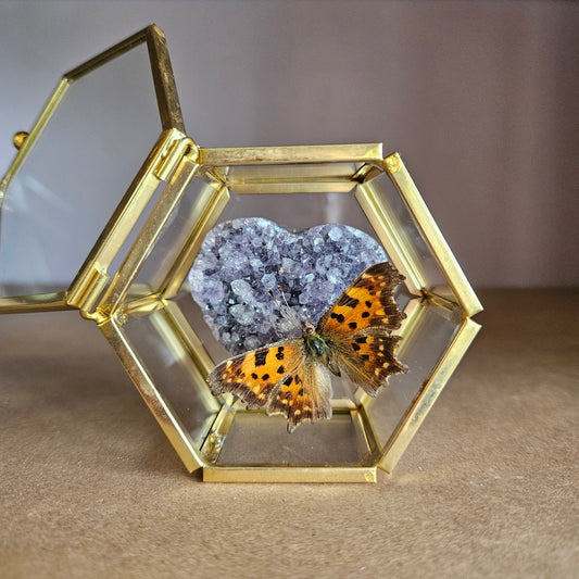 Vlinderstolp: Amethist hartje met vlinder