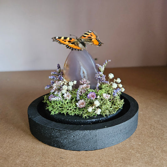 Vlinderstolp: Agaat met Aglais urticae