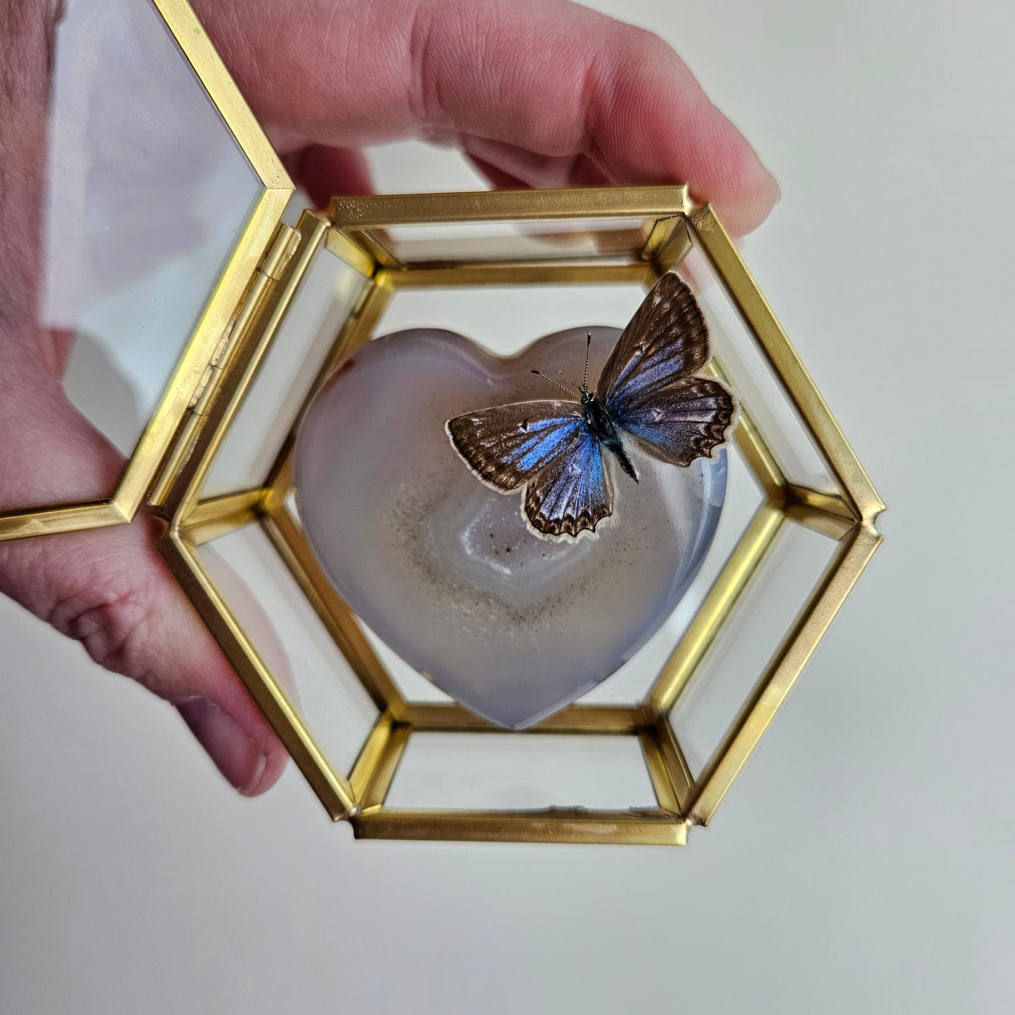 Vlinderstolp: Agaat hartje met vlinder