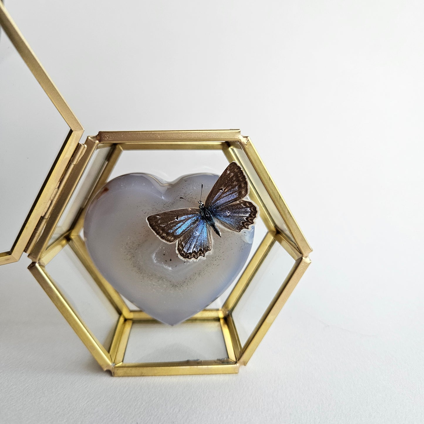 Vlinderstolp: Agaat hartje met vlinder