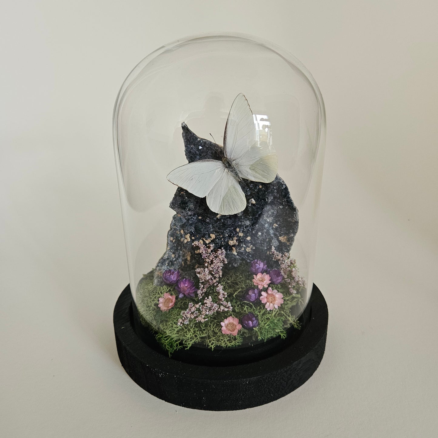 Vlinderstolp: Flower amethist met Appias drusilla