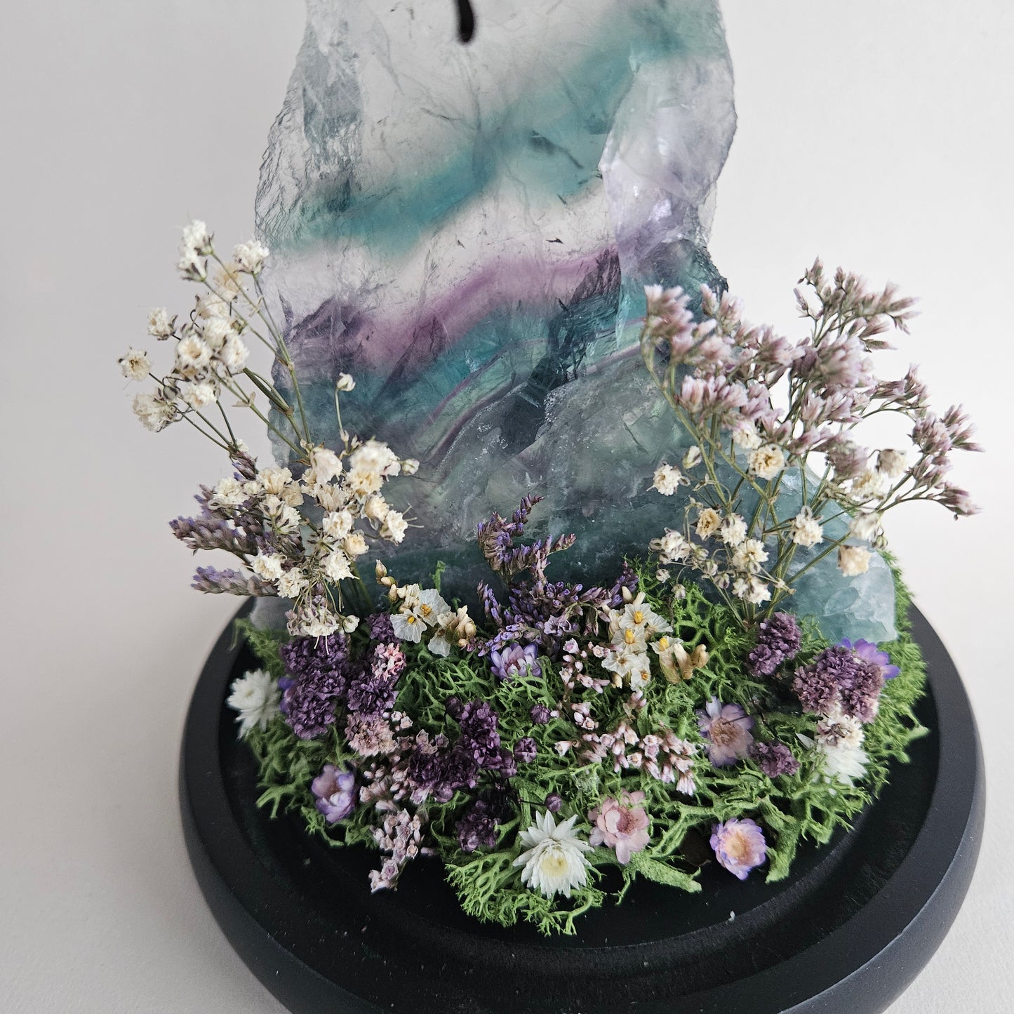 Vlinderstolp: Fluoriet met Graphium weiskei