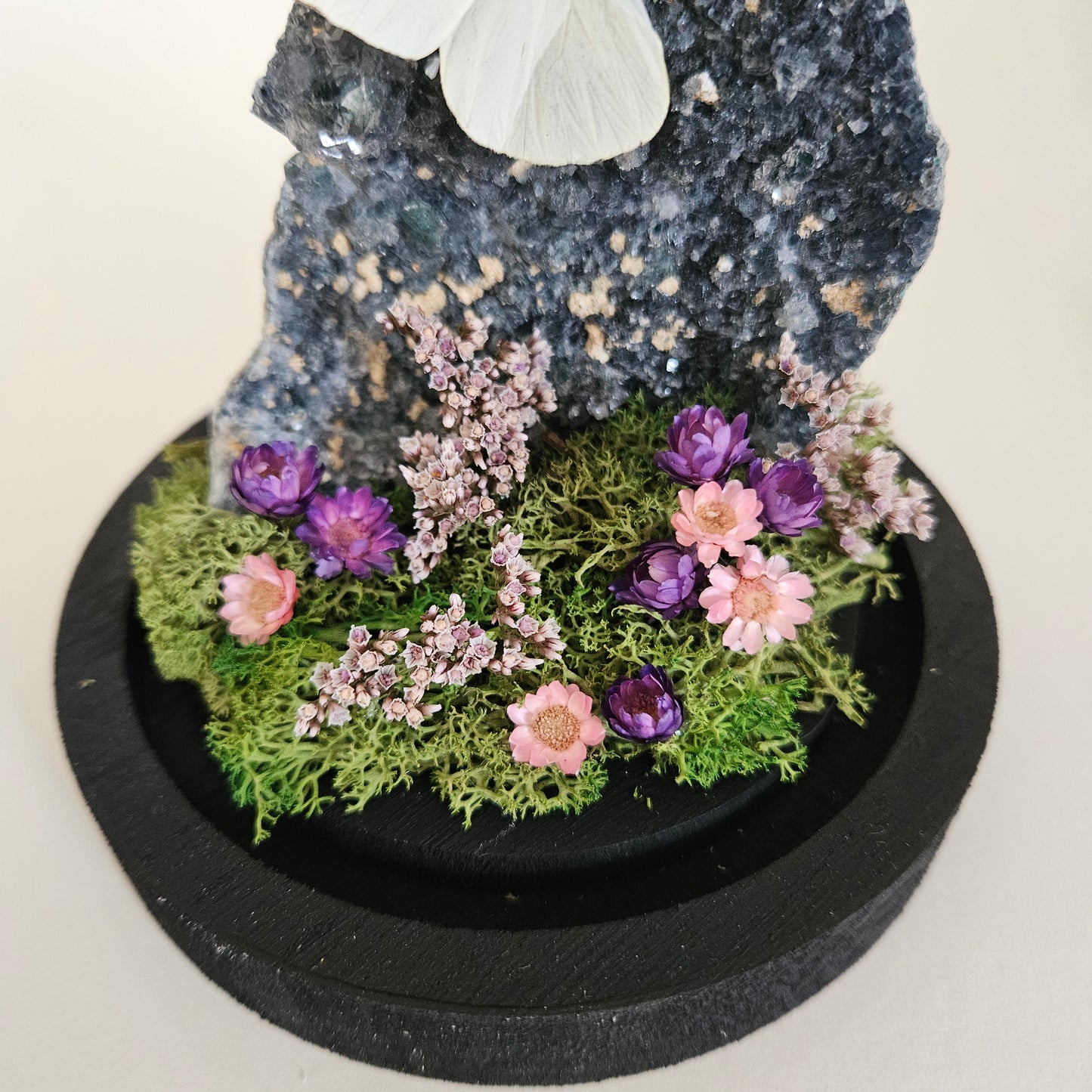 Vlinderstolp: Flower amethist met Appias drusilla