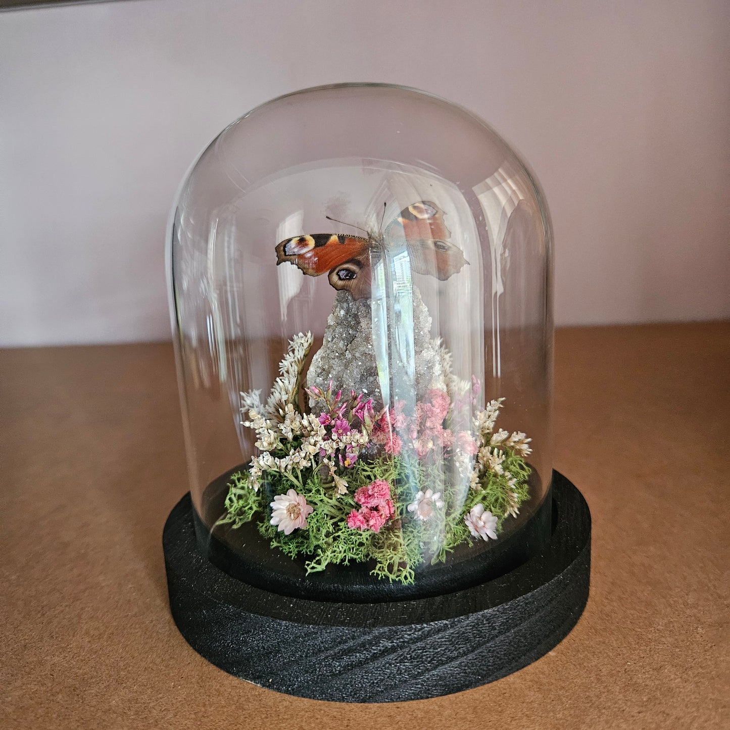 Vlinderstolp: Amethist met dagpauwoog