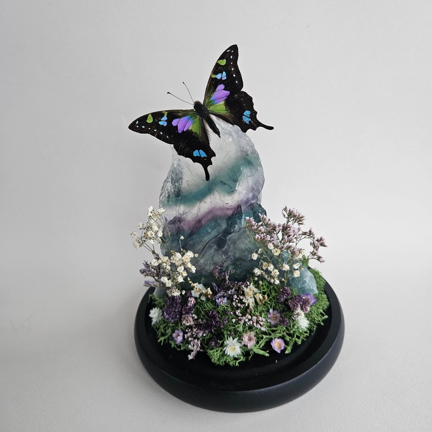 Vlinderstolp: Fluoriet met Graphium weiskei