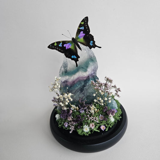 Vlinderstolp: Fluoriet met Graphium weiskei