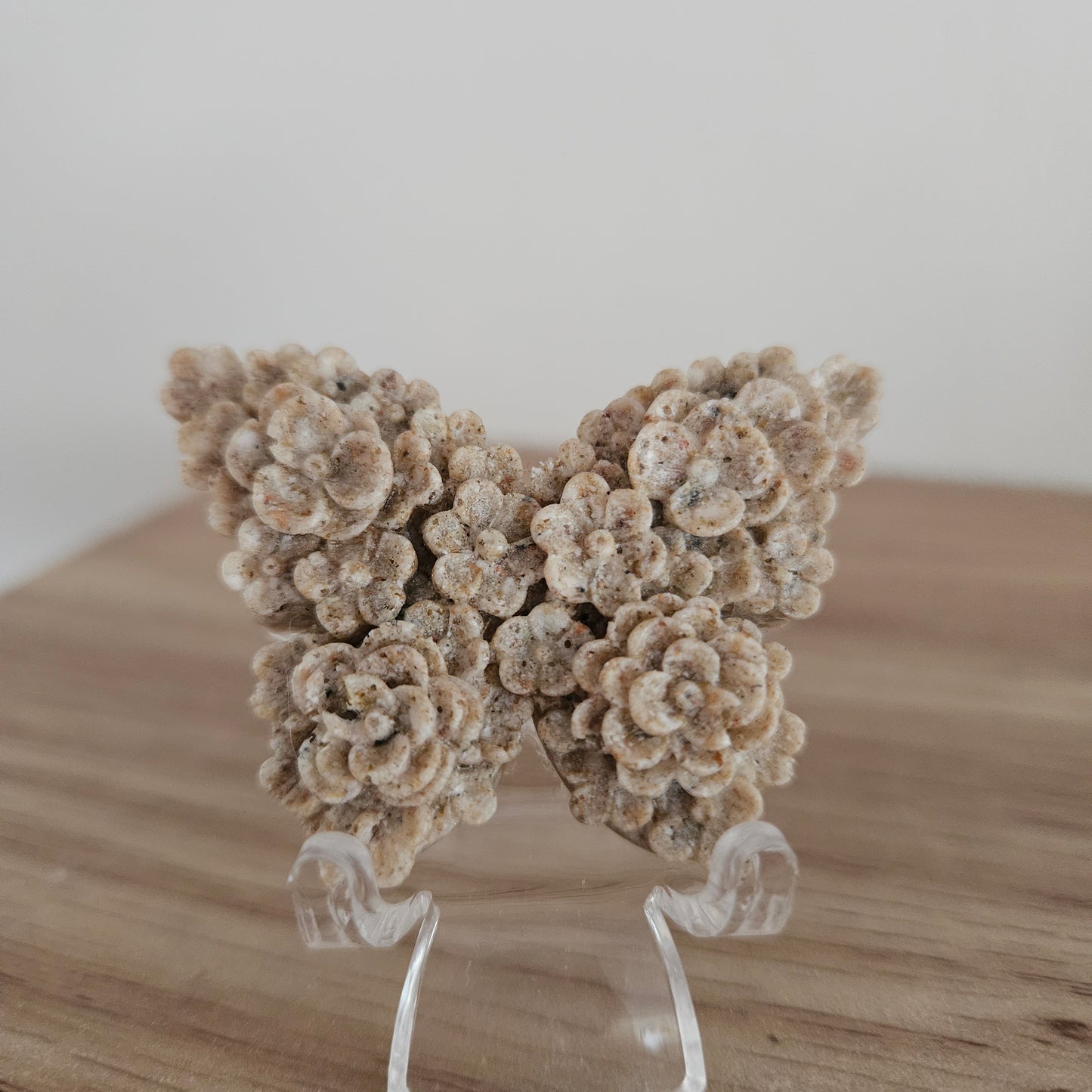 Epoxy Vlinder maat S