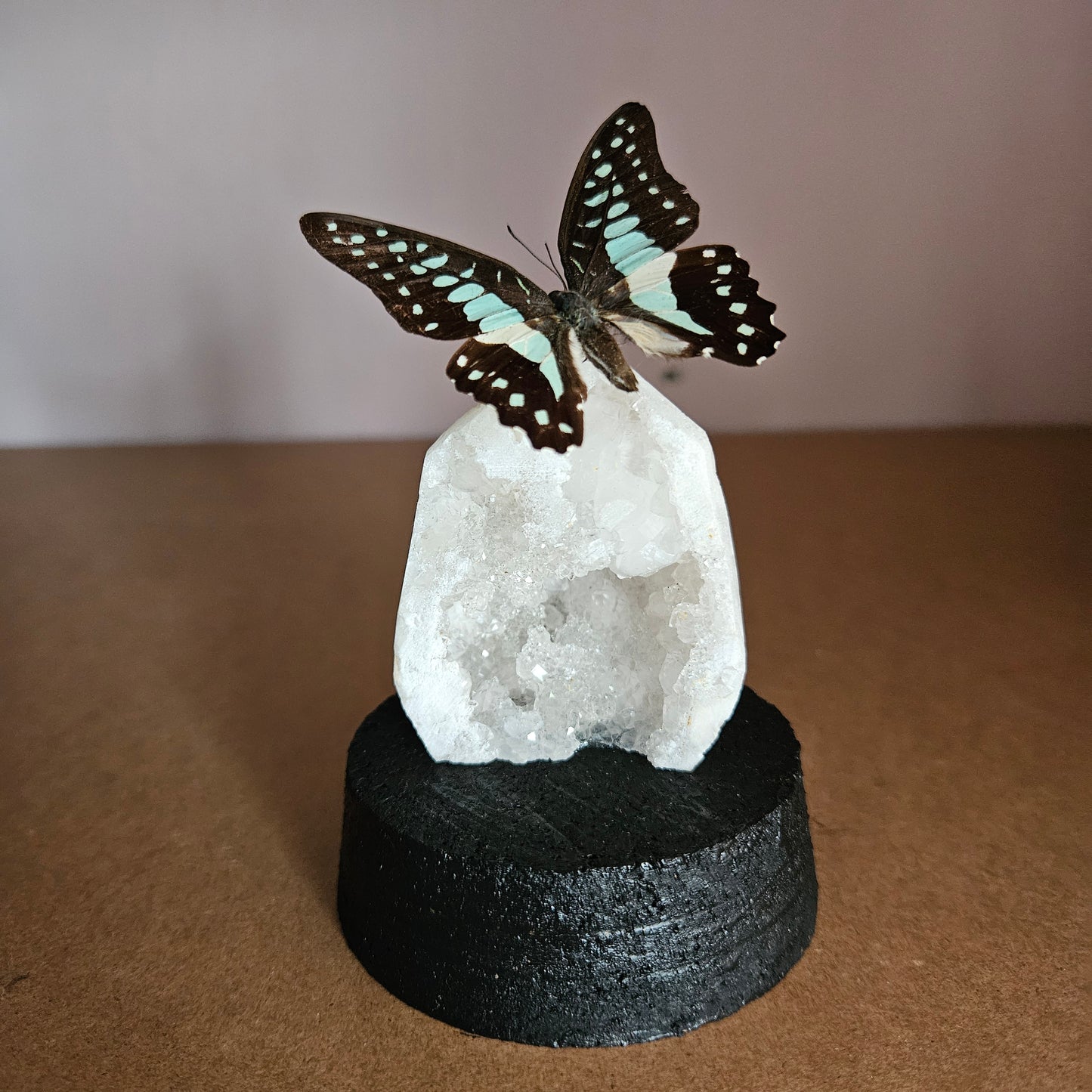 Vlinderstolp: Bergkristal geode met Graphium sarpedon