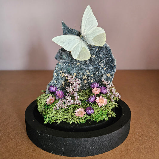 Vlinderstolp: Flower amethist met Appias drusilla