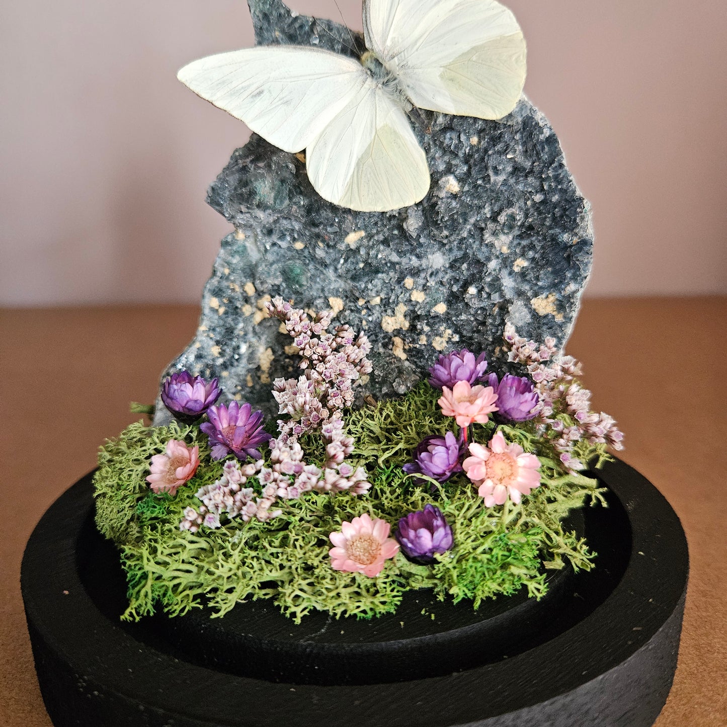 Vlinderstolp: Flower amethist met Appias drusilla