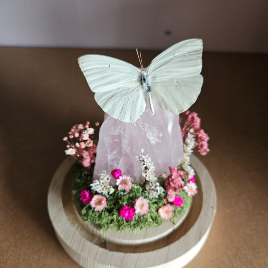 Vlinderstolp: Rozenkwarts met Catopsilia Florella