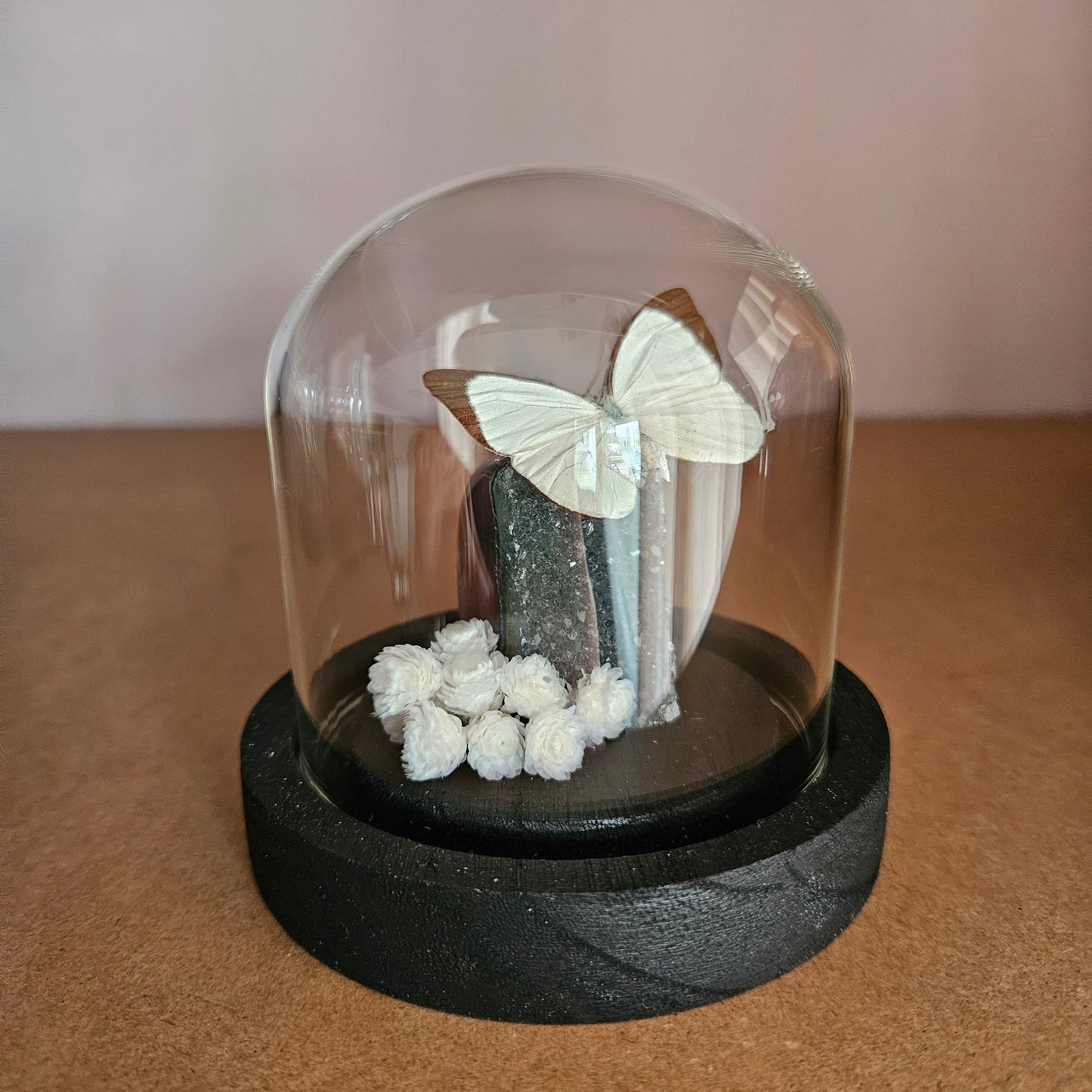 Vlinderstolp: Rainbow amethist met Melete leucadia