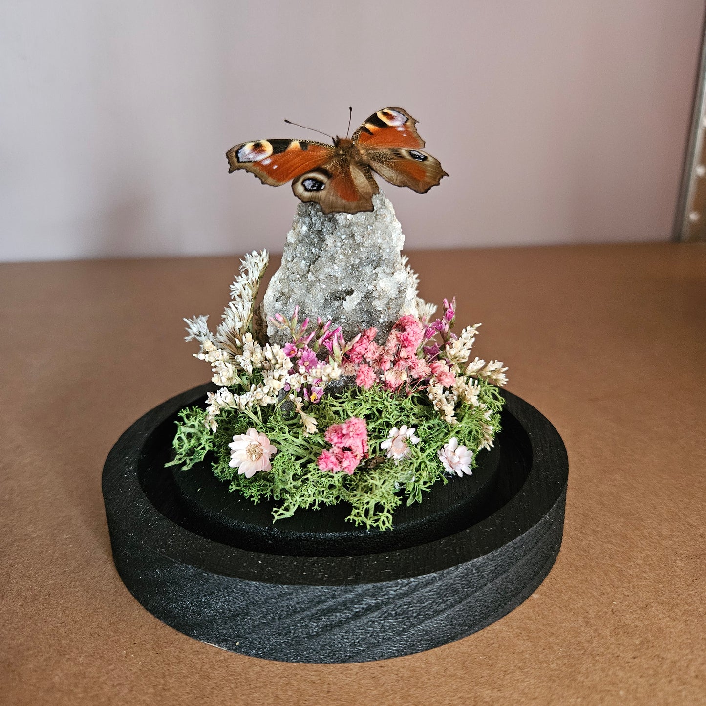 Vlinderstolp: Amethist met dagpauwoog